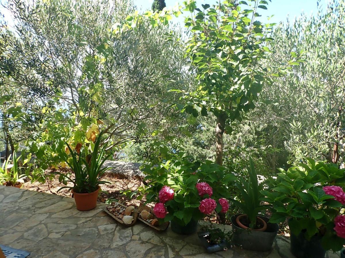 Studio Mare -30 M From A Lonely Beach Baric Draga Bagian luar foto